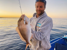 Load image into Gallery viewer, Reef Thief- Silver