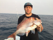 Load image into Gallery viewer, Reef Thief- Pink &amp; White
