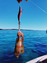 Load image into Gallery viewer, The Colossal- Seaweed